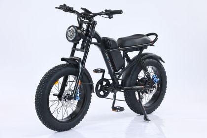 750W Mountain Electric Bicycle Out Door With Fat Tire 20''Ebike