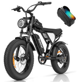 1000W Electric Bike Ridstar Q20 MINI Speed 50km/h